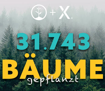 Wir pflanzen 31.743 Bäume in Kanada!