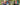 XGo3 Dschungel - Wilkommen in unsehem dschungel